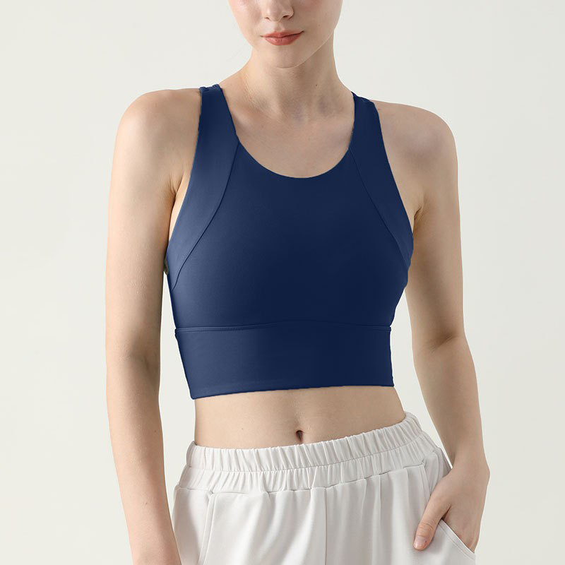 النساء الرياضة الصدرية الأعلى  - مراجعة Running Gear Vest وسعره